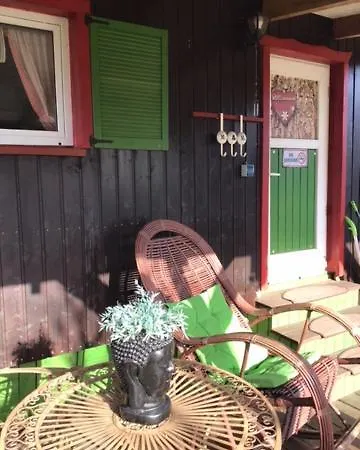 Apartment Wohnen In Einer Kleinen Wohnoase